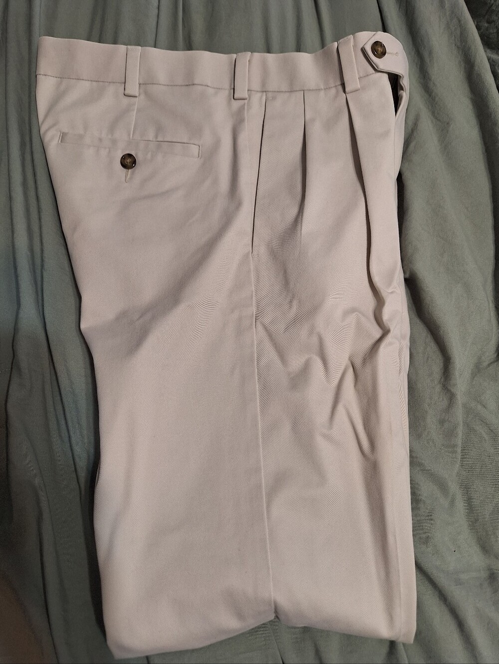Roundtree & Yorke Men's Light Beige Pleated Dress Pants